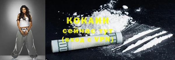 прущие грибы Магас