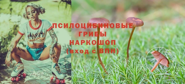 кристаллы Лагань