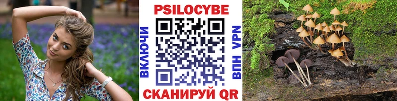 Псилоцибиновые грибы GOLDEN TEACHER  blacksprut   Курлово  наркота 